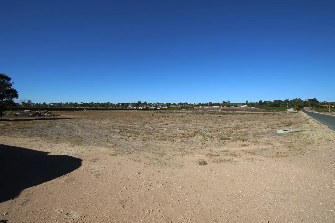 Additional image 13 of 7 The Avenue, Waikerie SA 5330