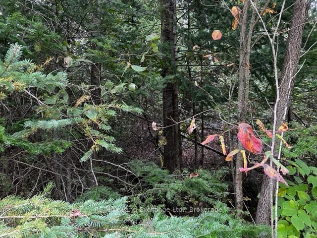 Additional image 4 of 4 Shore Road, Saugeen Shores, ON, N0H 2L0