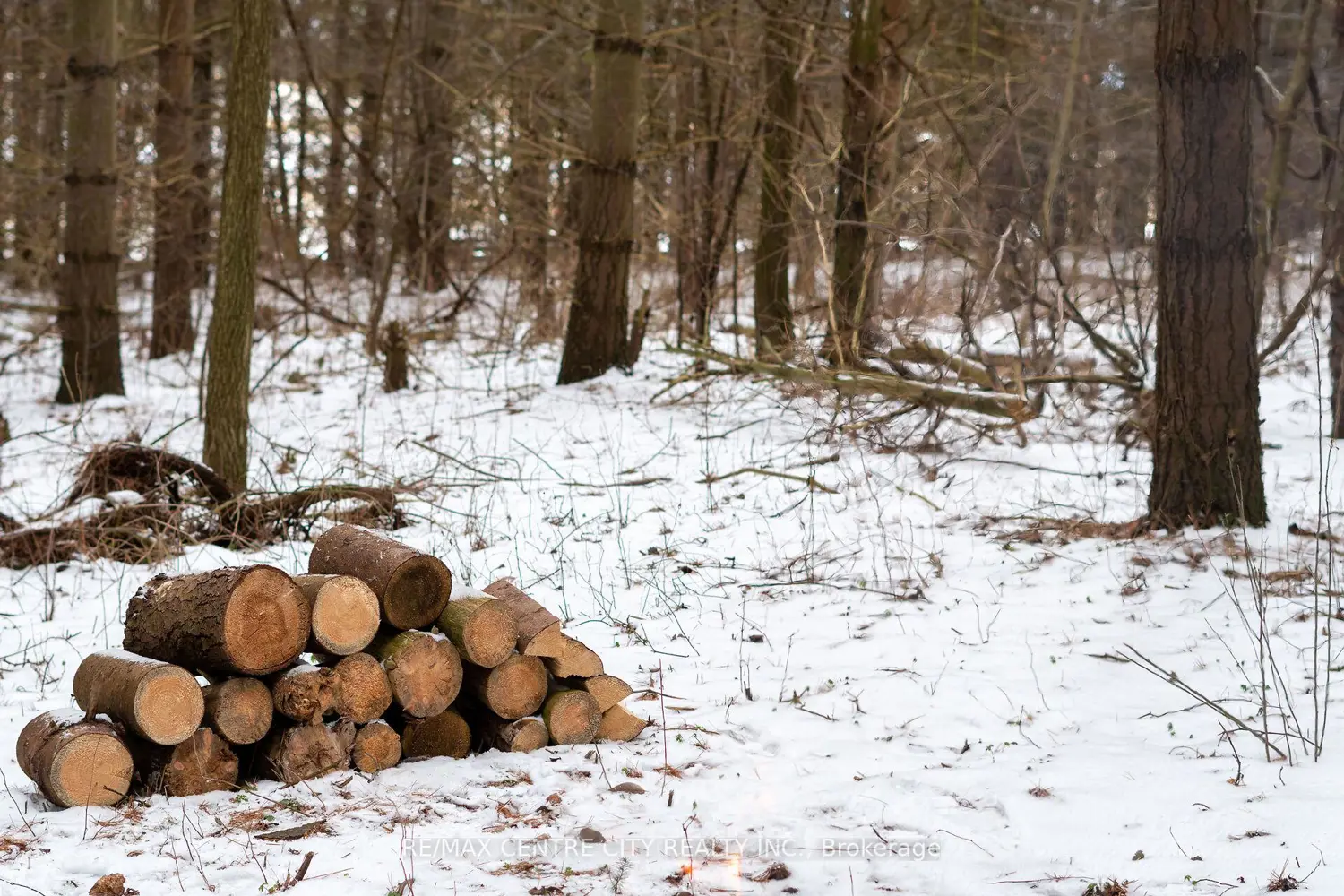 Additional image 10 of Pt Lt 24 Concession 5