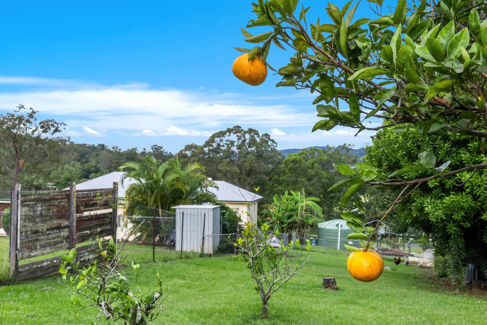 Additional image 39 of 36 Omagh Road, Geneva NSW 2474