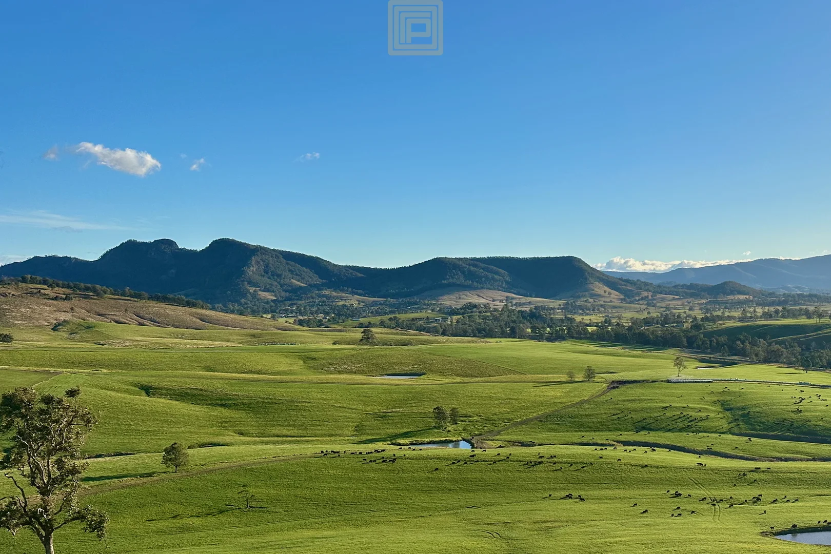 Additional image 6 of 455 The Bucketts Way, Gloucester NSW 2422