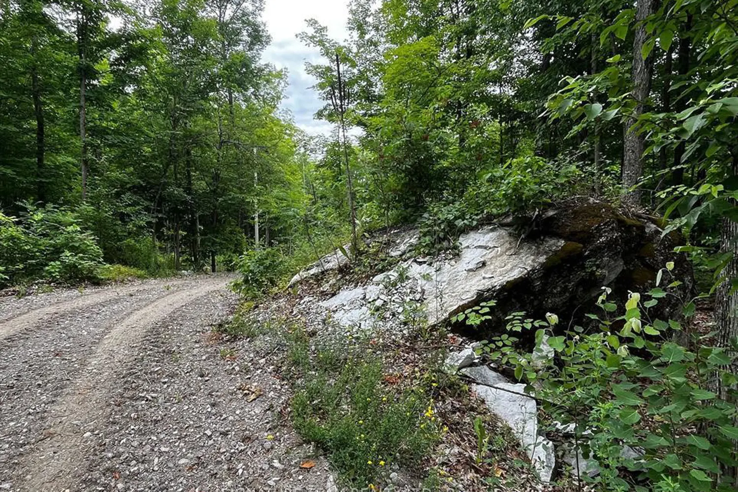 Additional image 3 of 90 Broome Road