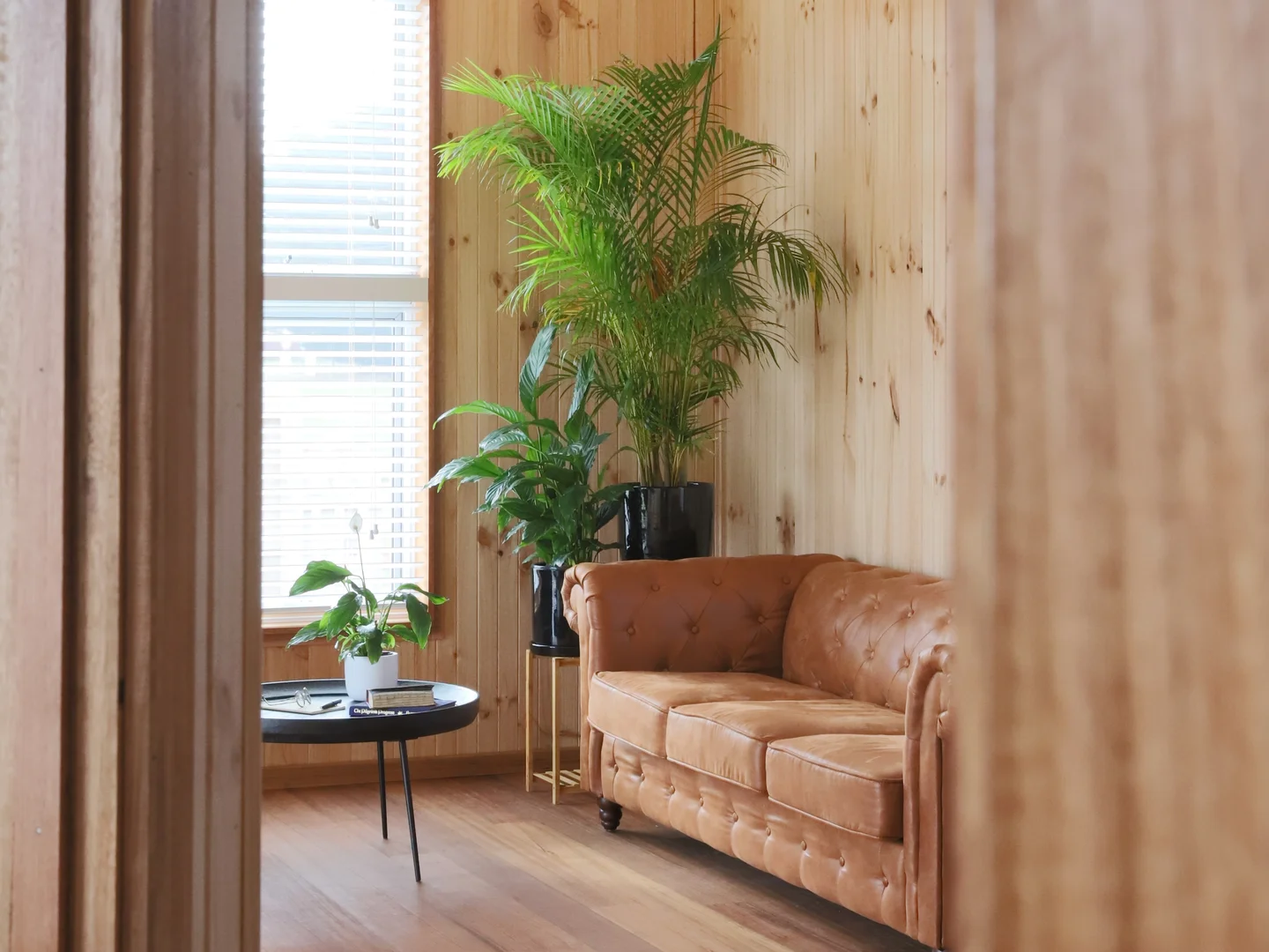 Additional image 18 of 8 Park Street, Ross TAS 7209