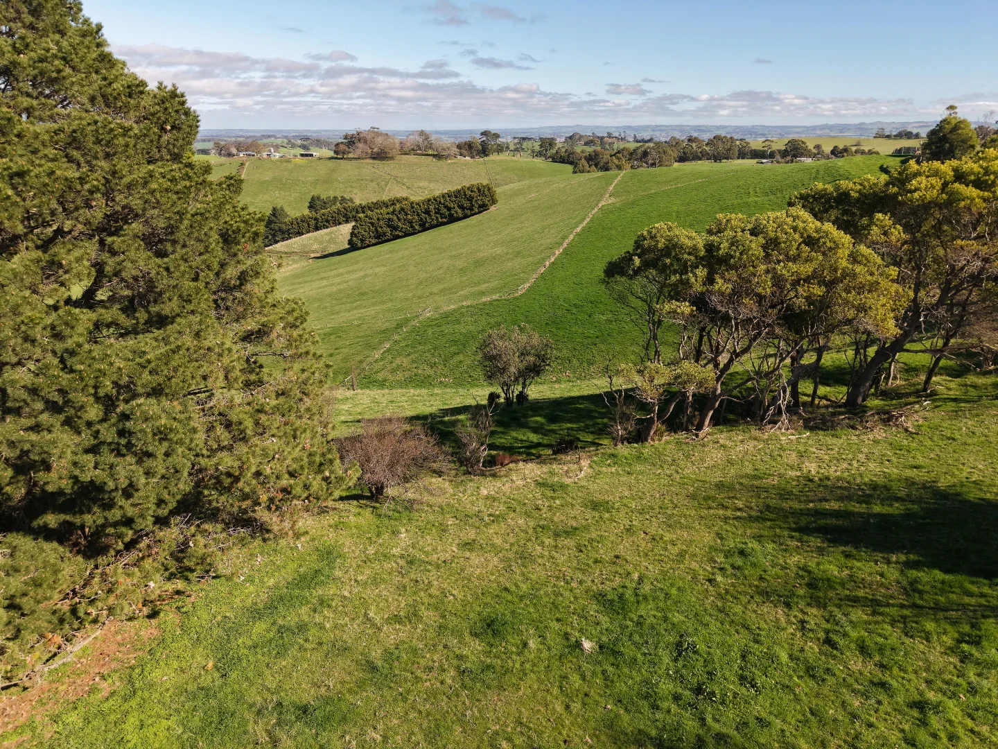 Additional image 6 of 950 Mardan Road, Mardan VIC 3953