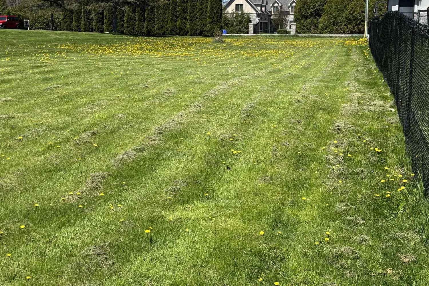 Additional image 8 of 7657 Black River Road