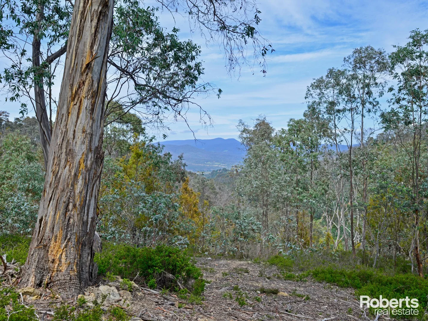 Additional image 12 of 869 Back River Road, Magra TAS 7140