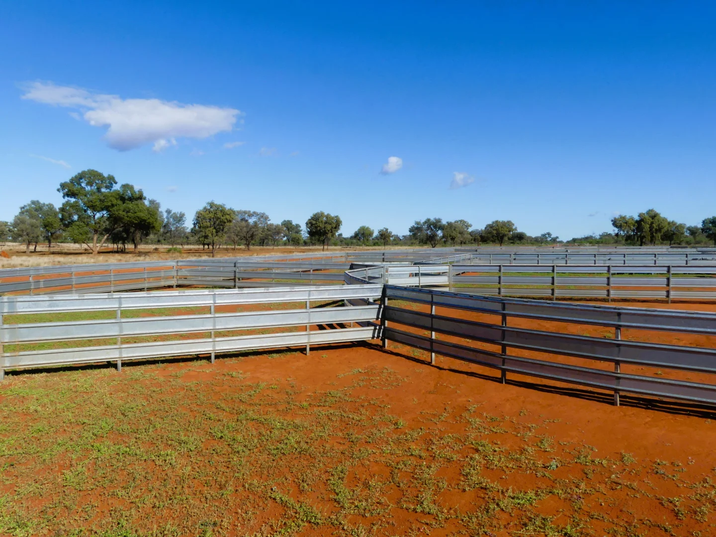 Additional image 8 of 'Wyuna & Neverfail' 5643 Pitherty Road, Eulo QLD 4491