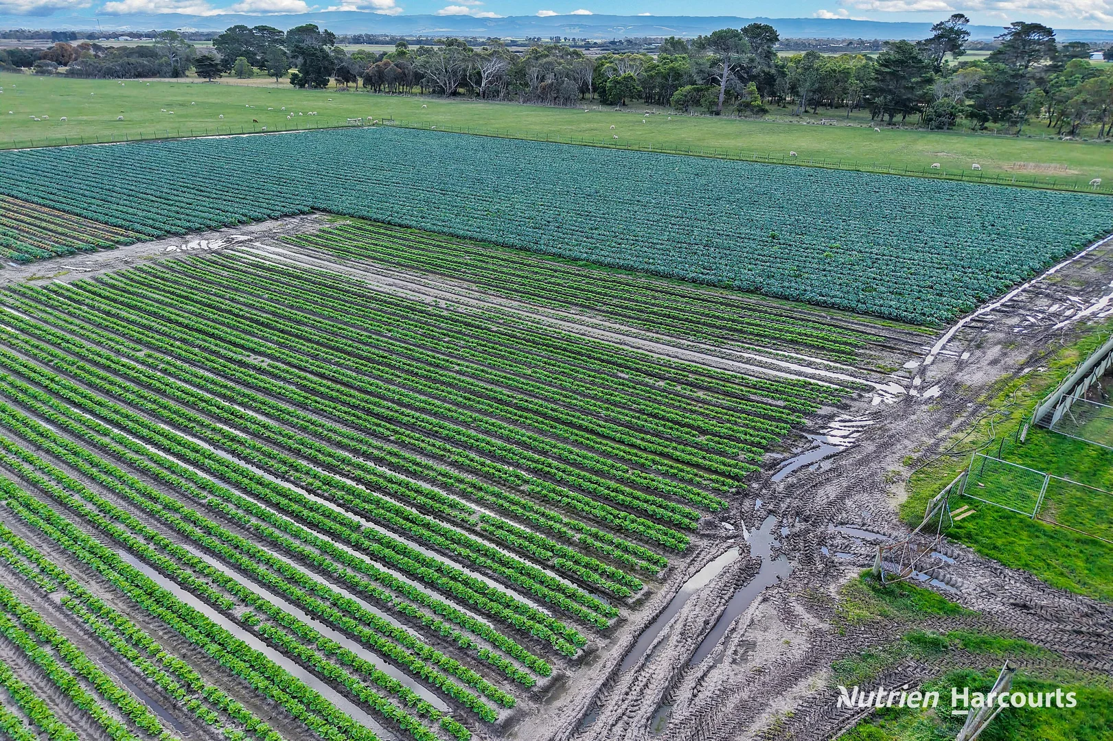 Additional image 4 of 240 Yarram Port Albert Road, Alberton VIC 3971