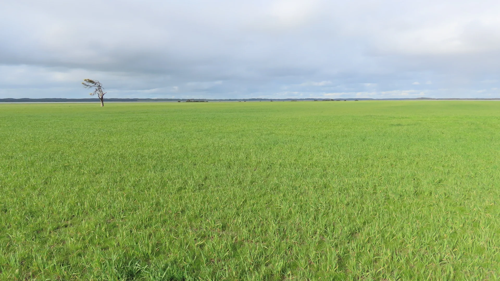 Additional image 7 of 703 Bog Lane, Nora Creina SA 5276