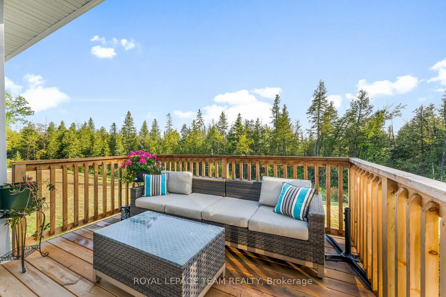 Additional image 6 of 44 Morning Flight Court