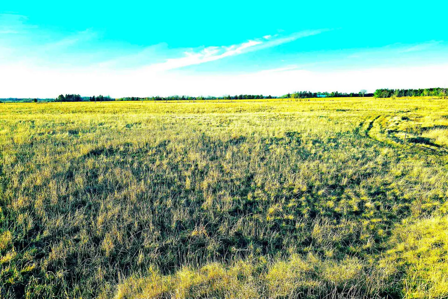 4056 Highway 17 Highway photo 3