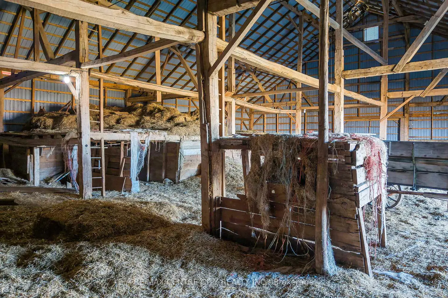 Additional image 12 of 137204 Grey Road 12