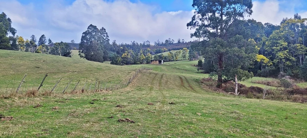 Additional image 11 of 148 Holmes Road, Roland TAS 7306