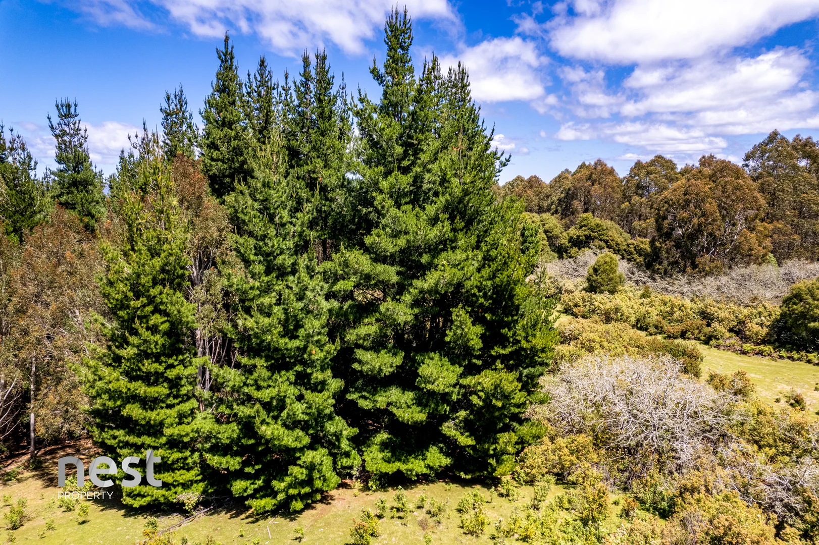 Additional image 24 of 464 German Town Road, St Marys TAS 7215