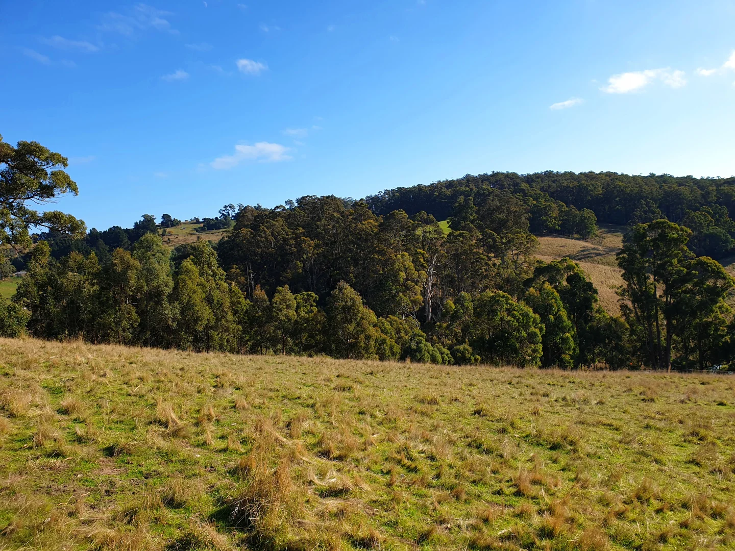 Additional image 6 of Lot 5 Wallace Road, Cygnet TAS 7112