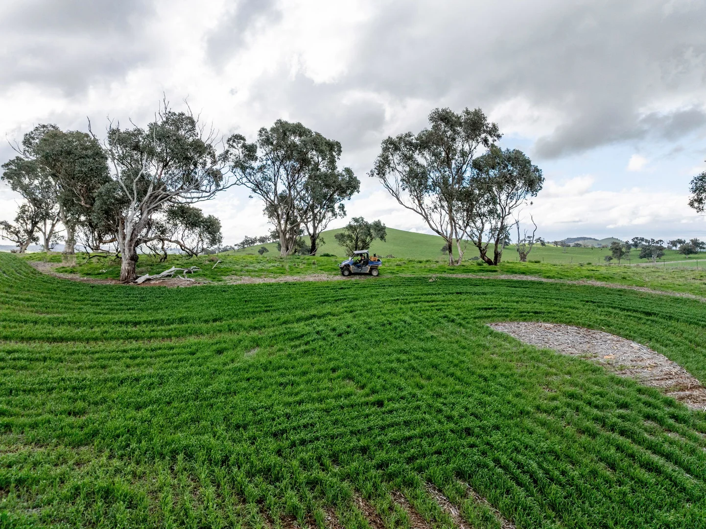 Additional image 23 of 'Darmody's', 969 Brial Rd, Boorowa NSW 2586