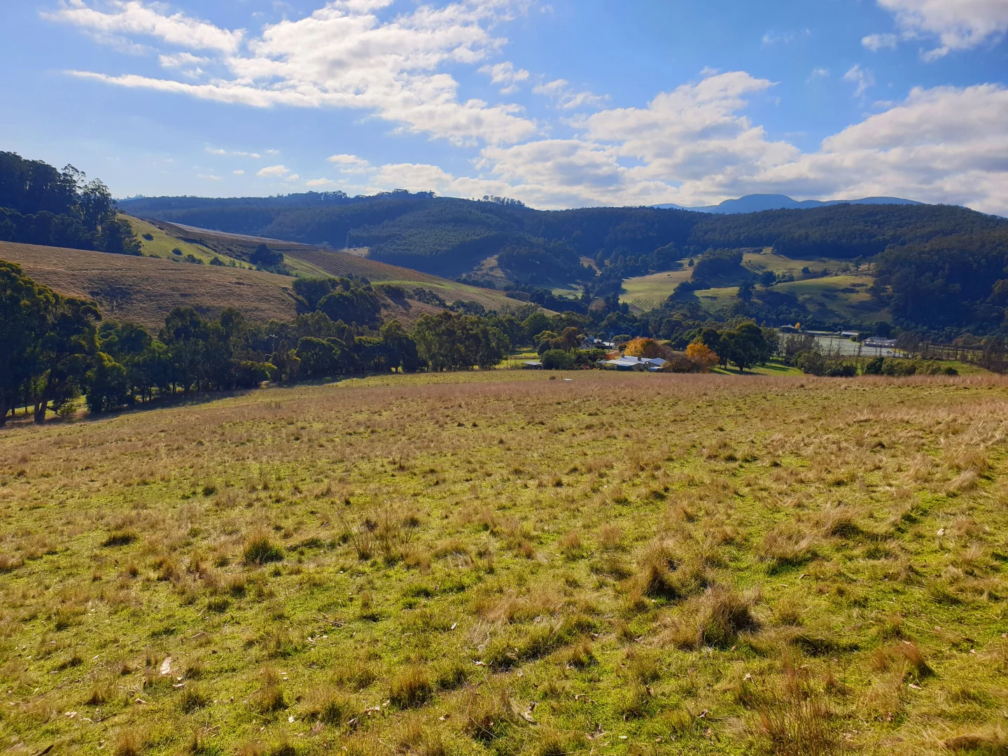 Additional image 5 of Lot 5 Wallace Road, Cygnet TAS 7112