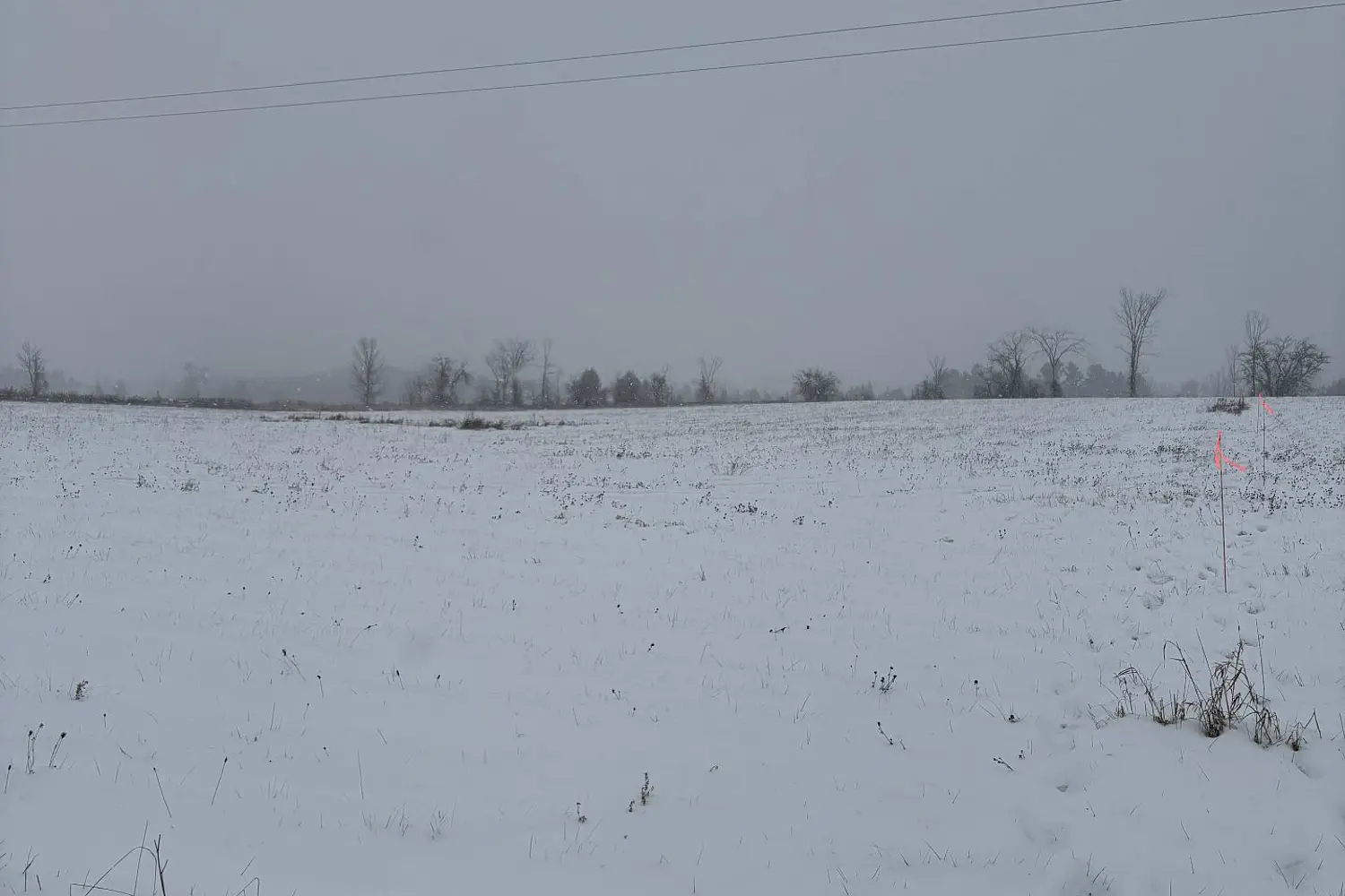 Additional image 12 of 0 Douro Third Line