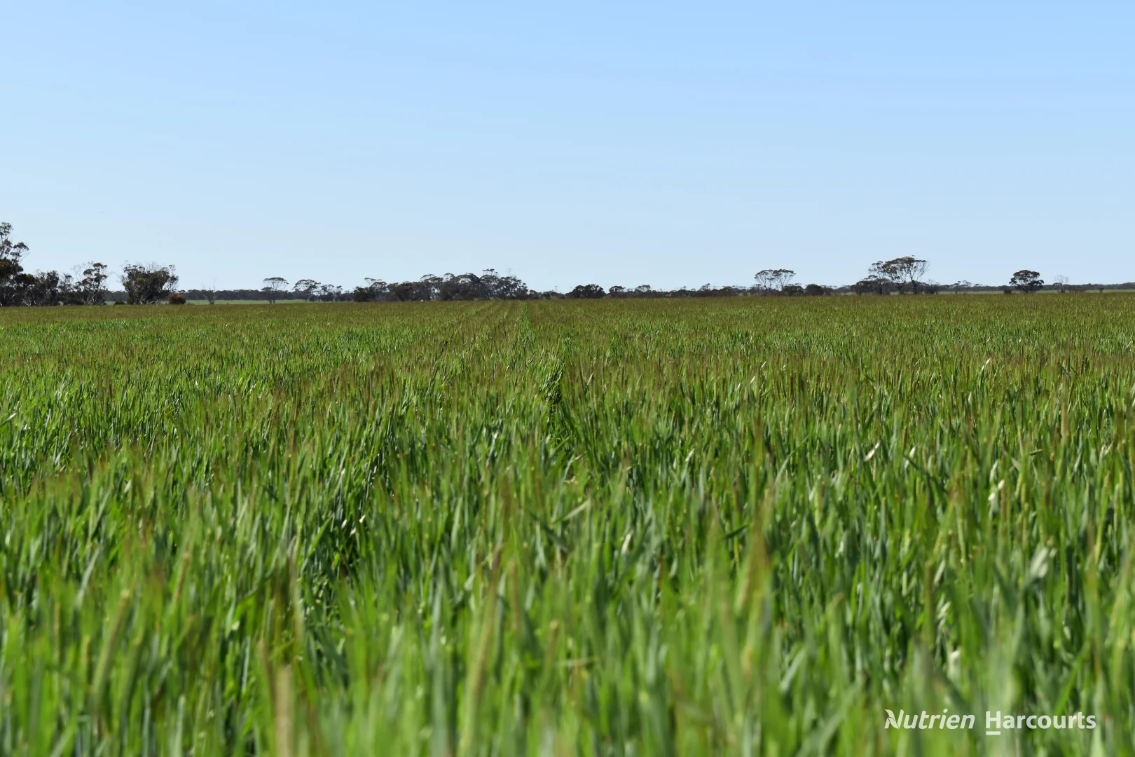 Additional image 17 of 1630 Mindarabin Road, Mindarabin WA 6336