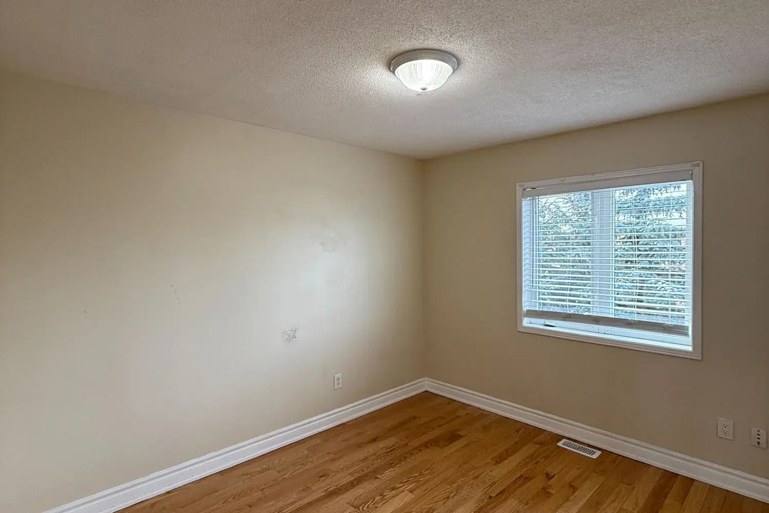 Additional image 12 of 71 Seward Crescent