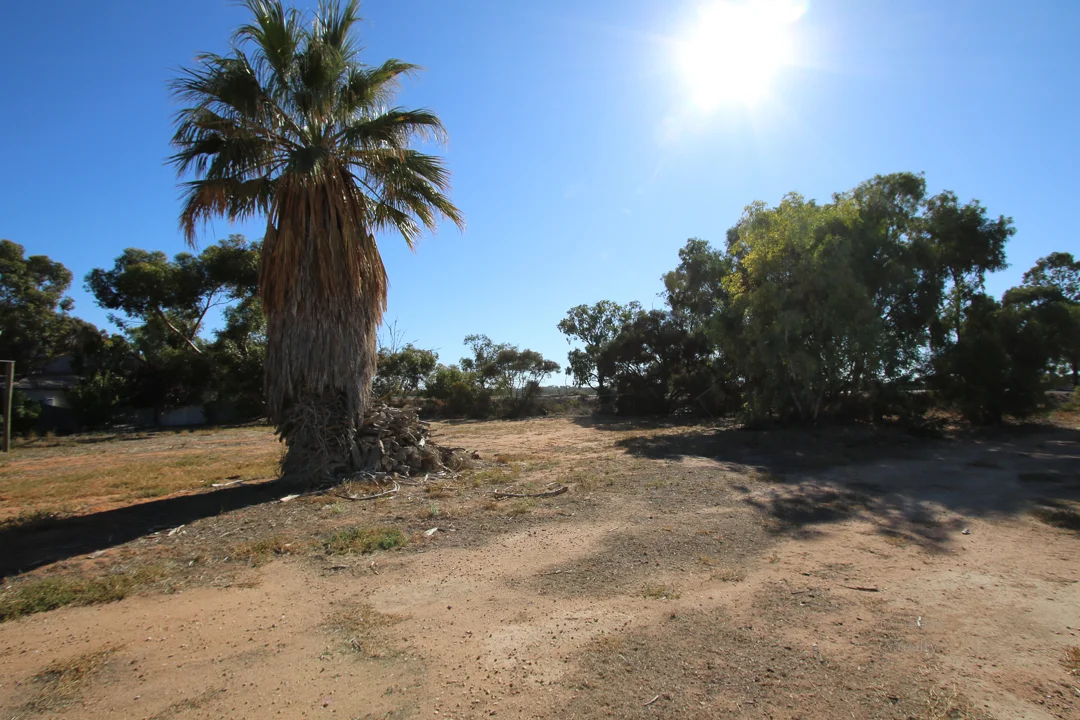 Additional image 17 of 7 The Avenue, Waikerie SA 5330