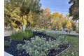 Additional image 44 of 372 S Caballo St, Mountain House, CA, 95391