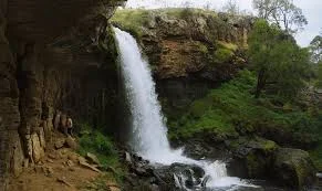 Additional image 9 of 150 Albury Street, Tumbarumba NSW 2653