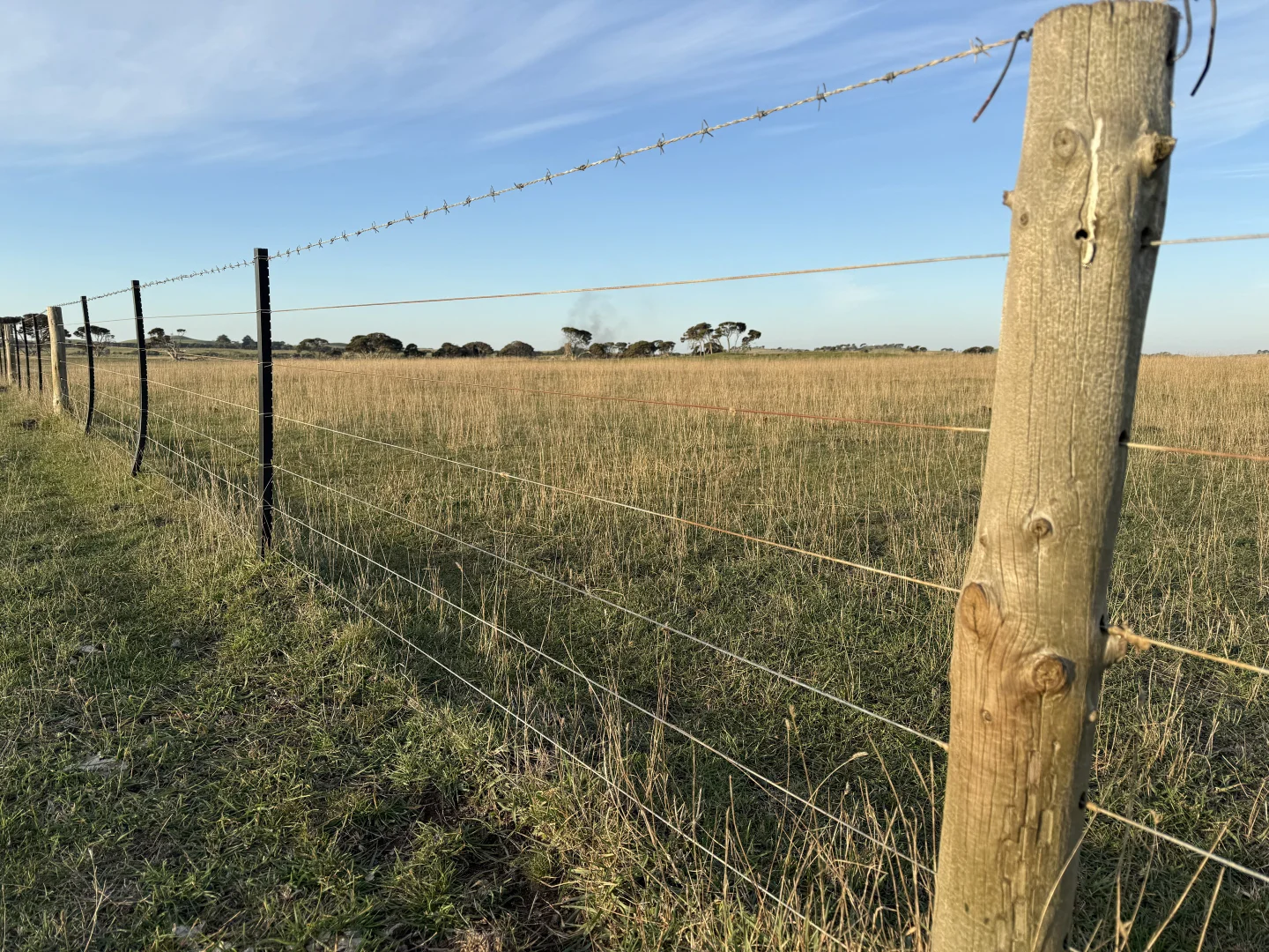 Additional image 15 of 175 Pethers Lane, Millicent SA 5280