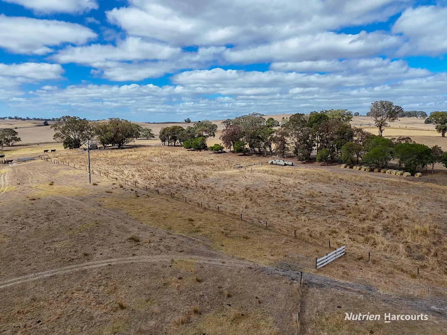 Additional image 16 of 138 Mcconachys Road, Henty VIC 3312