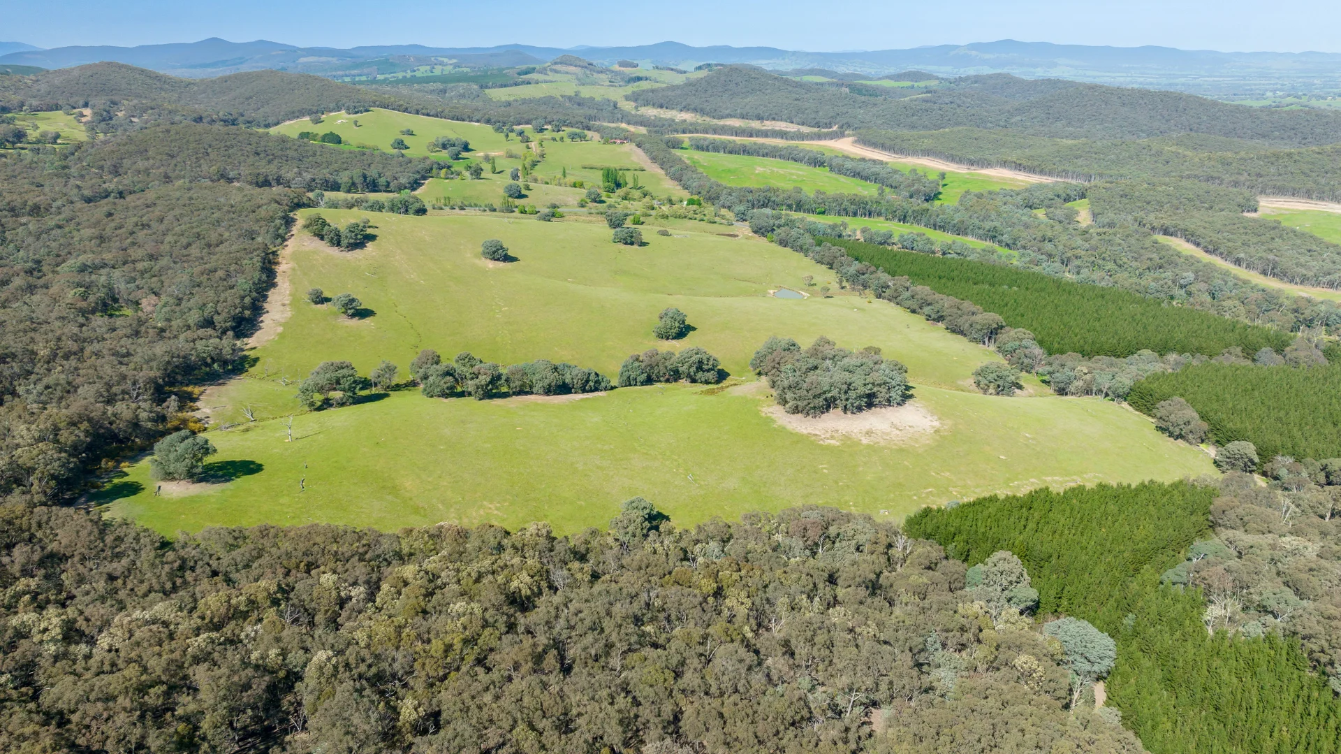 Additional image 21 of 1596 Four Mile Lane, Little Billabong NSW 2644