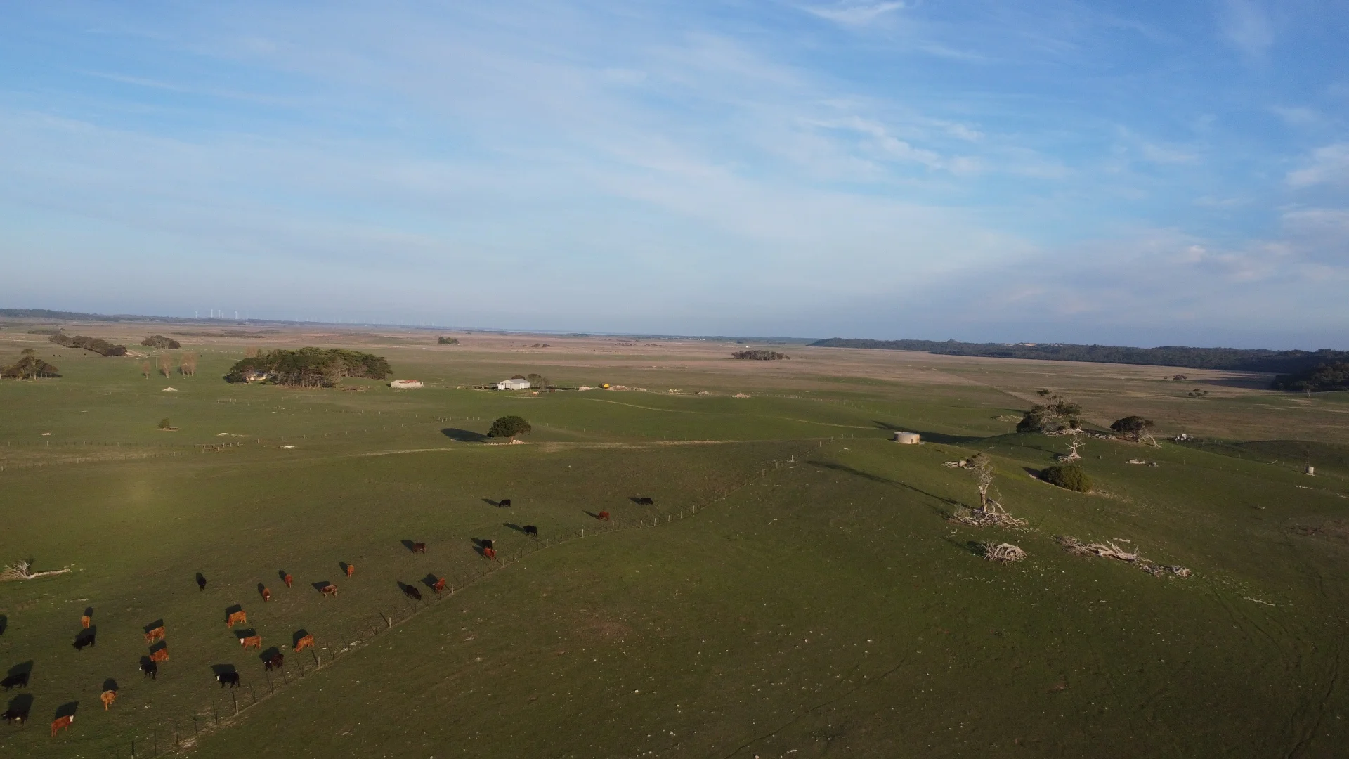 Additional image 19 of 175 Pethers Lane, Millicent SA 5280