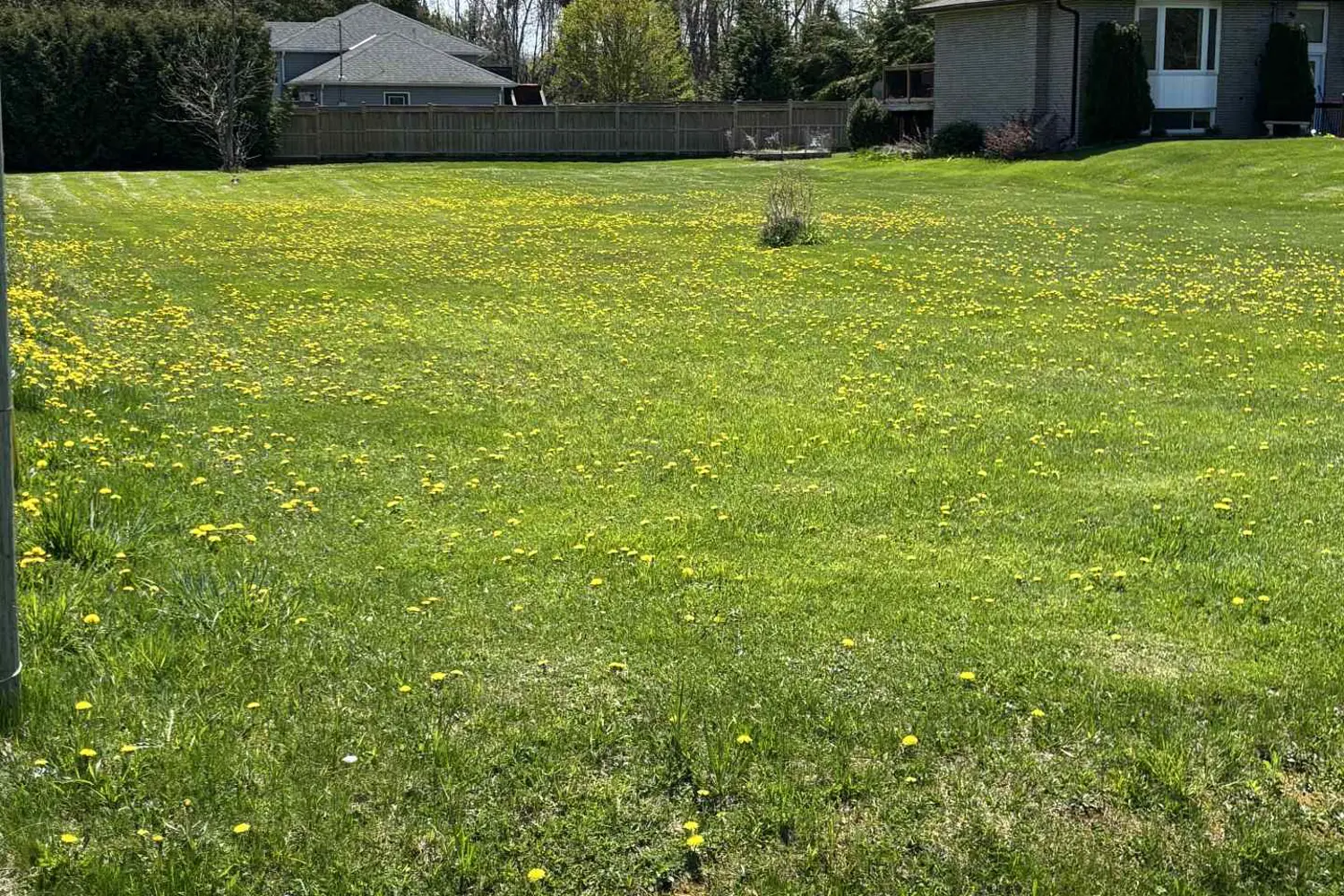 Additional image 10 of 7657 Black River Road