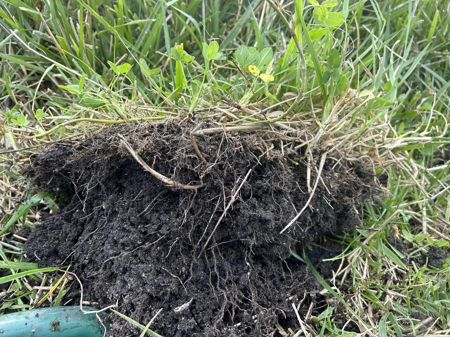 Additional image 4 of 703 Bog Lane, Nora Creina SA 5276