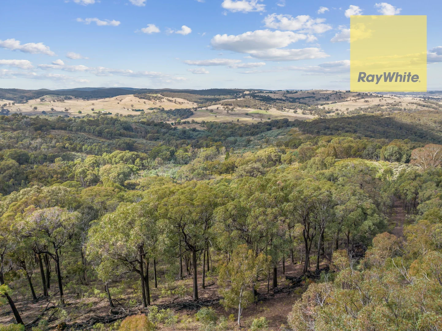 Additional image 23 of 1013 Bigga Road, Crooked Corner NSW 2583