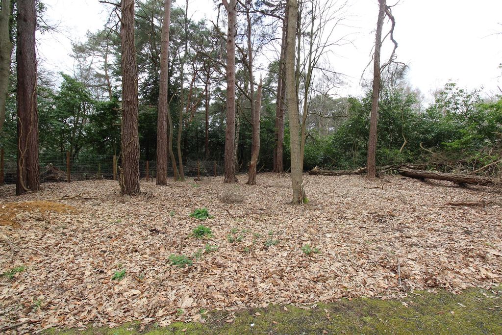 Additional image 5 of Land to rentCrawley Hill, West Wellow, Romsey SO51