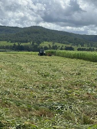 Additional image 25 of 119 Duck Creek Road, Old Bonalbo NSW 2469