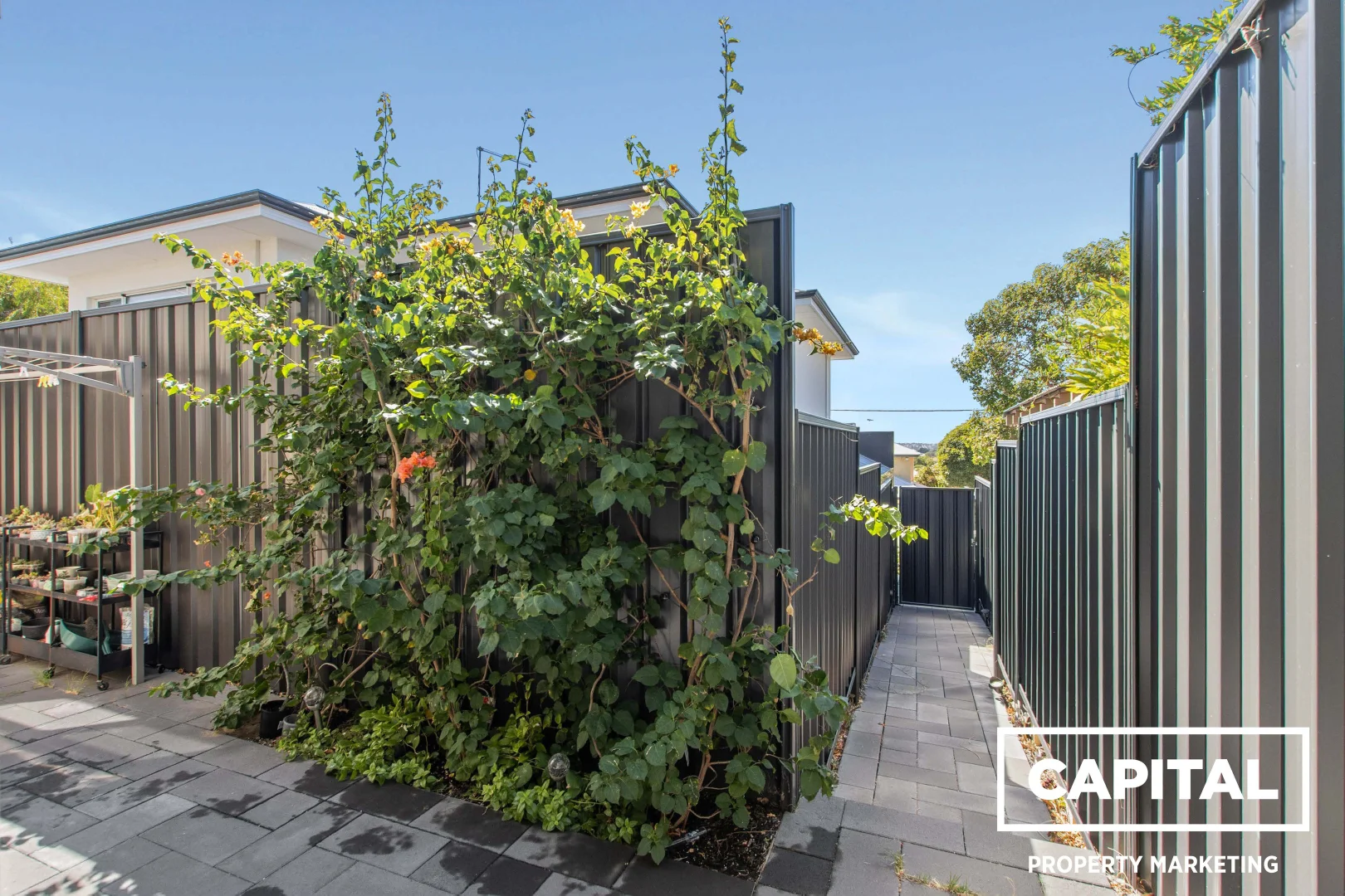 Additional image 37 of 157c Woodside St, Doubleview WA 6018