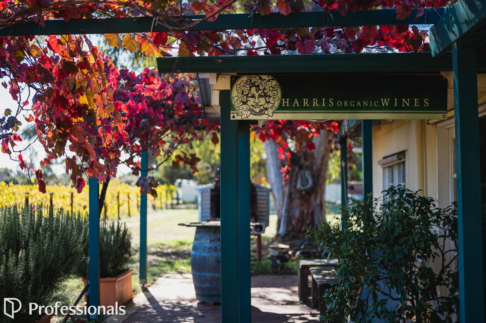 Additional image 20 of 179 Memorial Avenue, Baskerville WA 6056