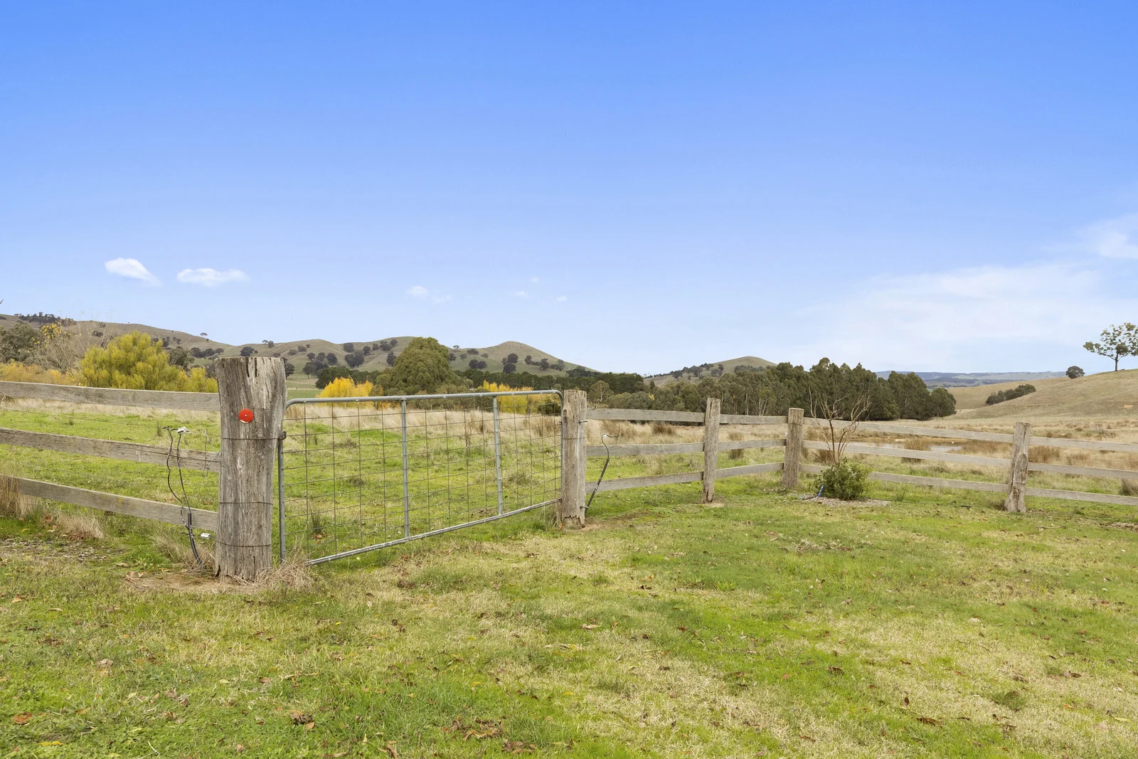Additional image 25 of 768 North Creek Road, Ancona VIC 3715