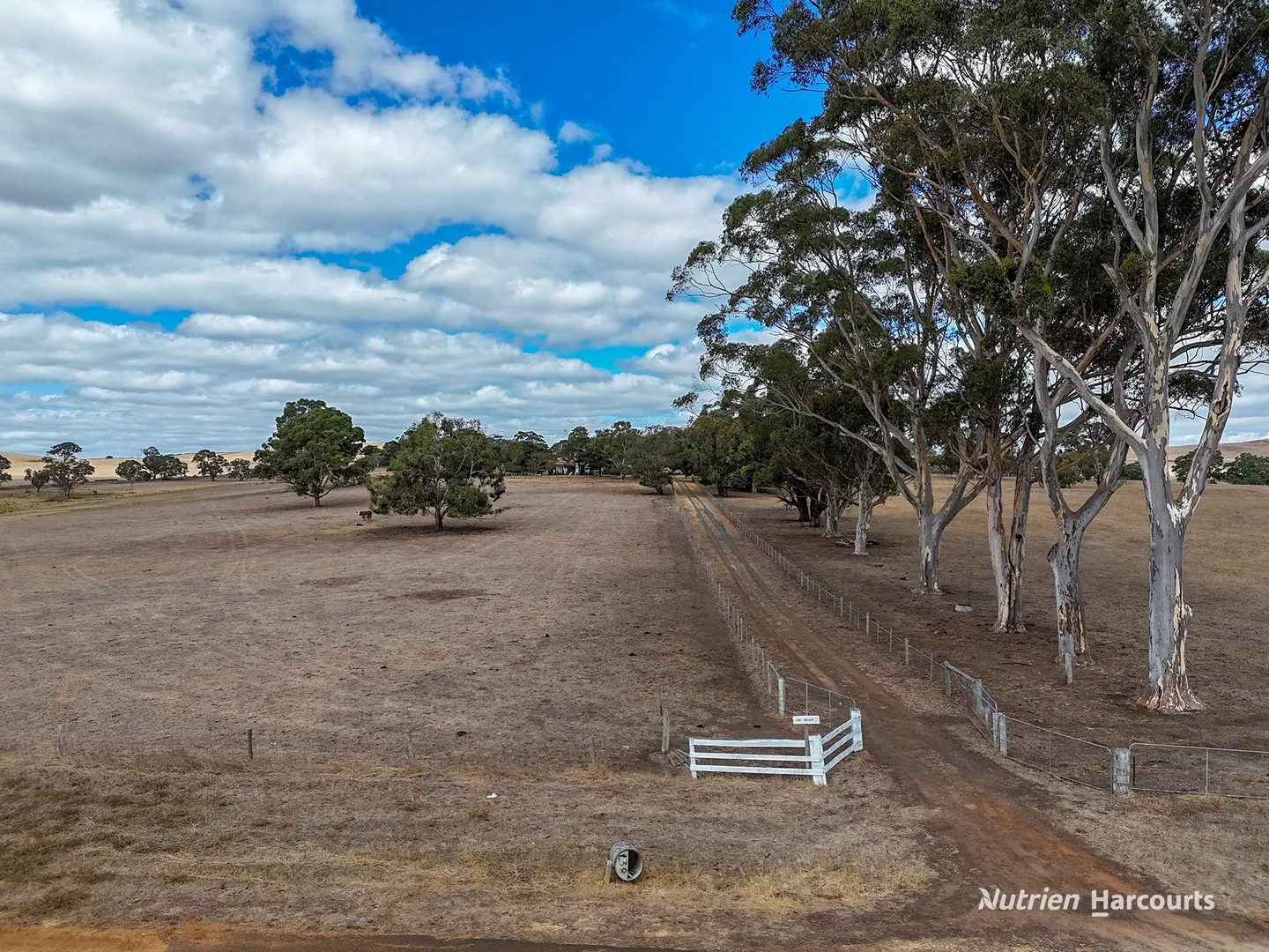 Additional image 19 of 138 Mcconachys Road, Henty VIC 3312