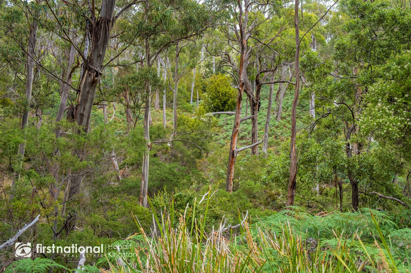 Additional image 15 of 110 Bruny Island Main Road, North Bruny TAS 7150