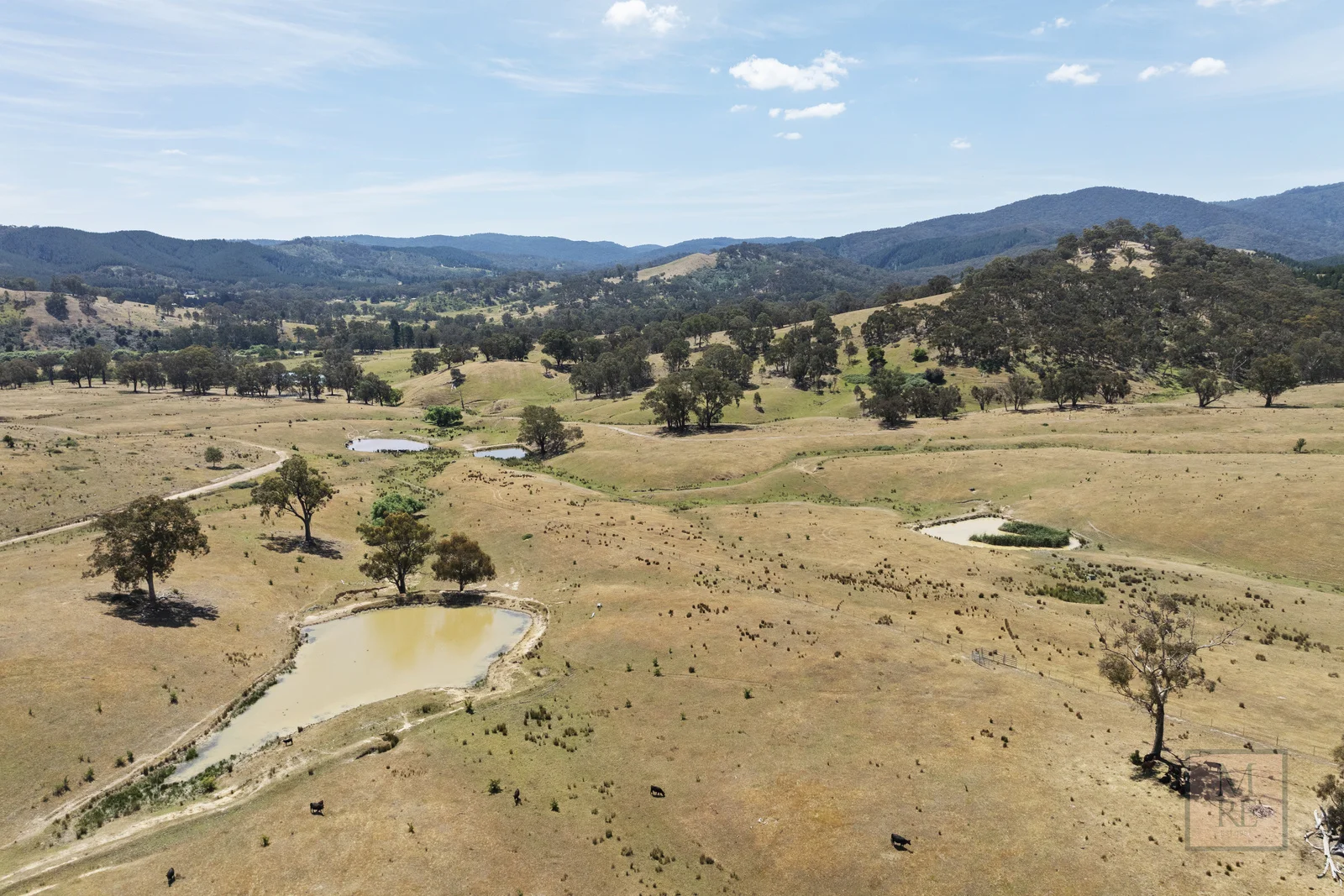 Additional image 8 of 'Dalhaven', 98 Hells Hole Creek Road, Bonnie Doon VIC 3720
