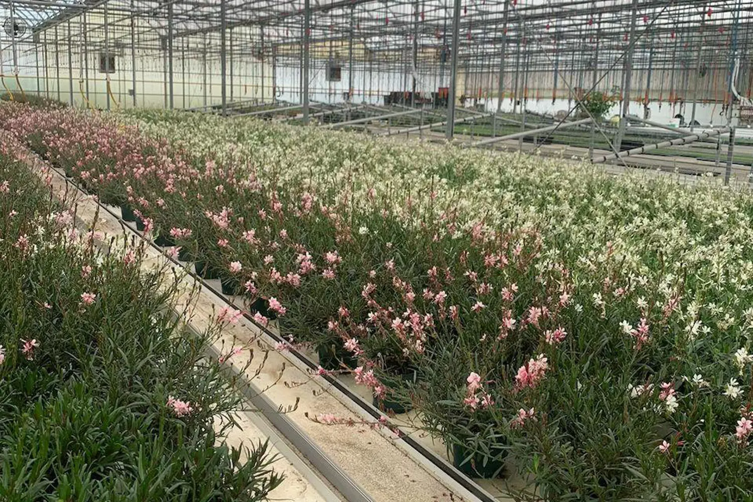 Additional image 16 of 430 Concession 7 Road