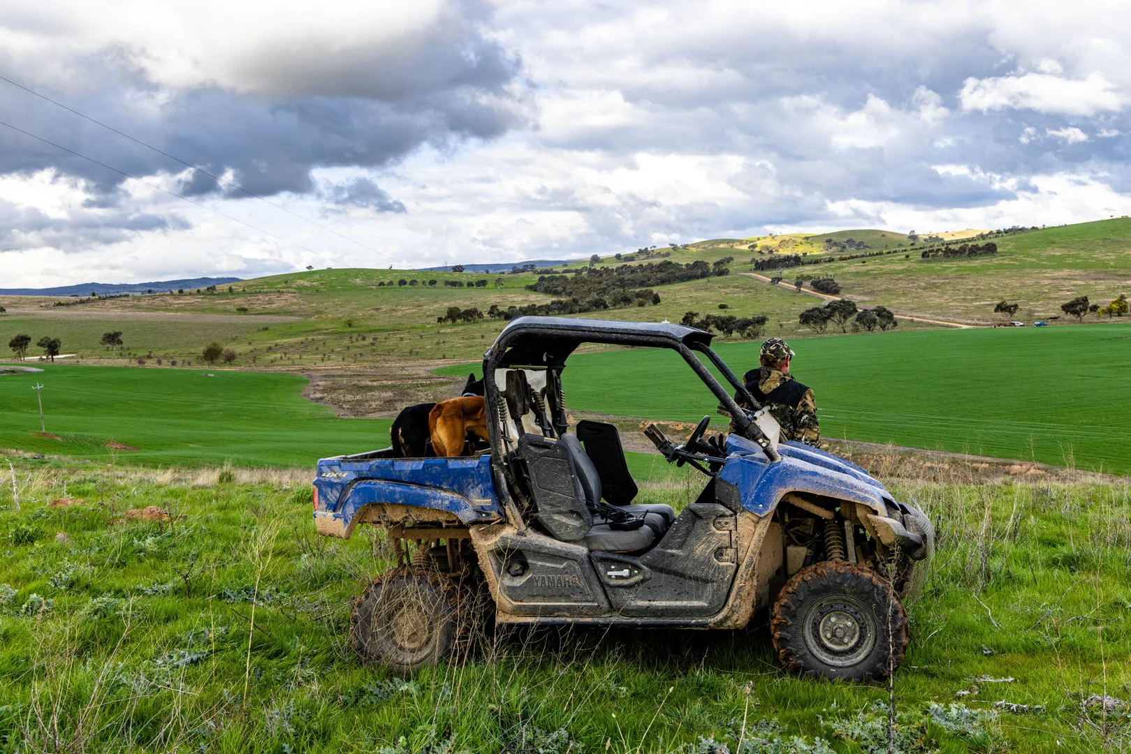 Additional image 16 of 'Darmody's', 969 Brial Rd, Boorowa NSW 2586