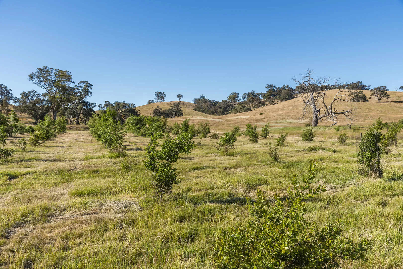 Additional image 4 of 679 Dallistons Road, Barfold VIC 3444