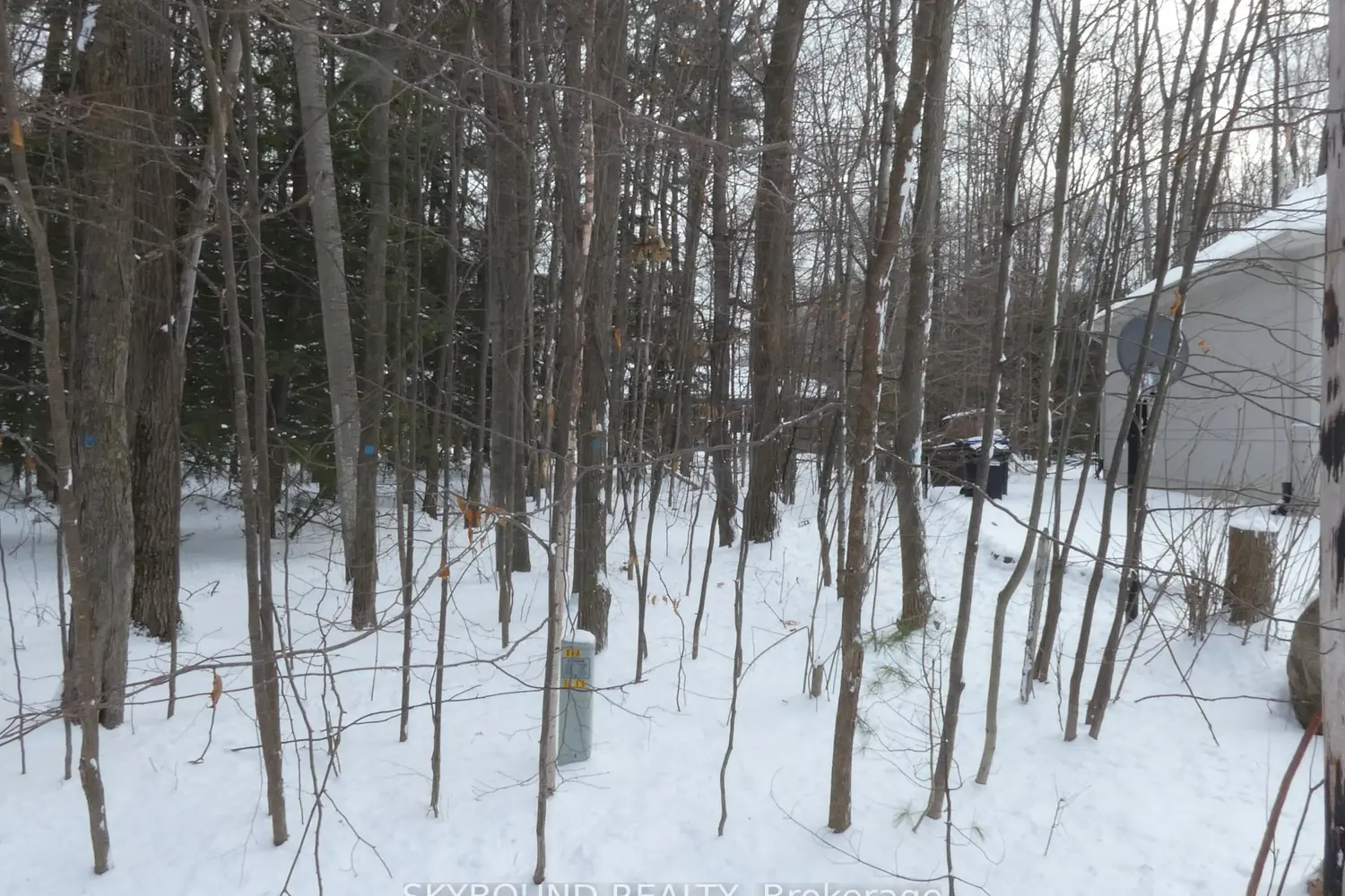 Additional image 3 of Lot 577 Forest Circle