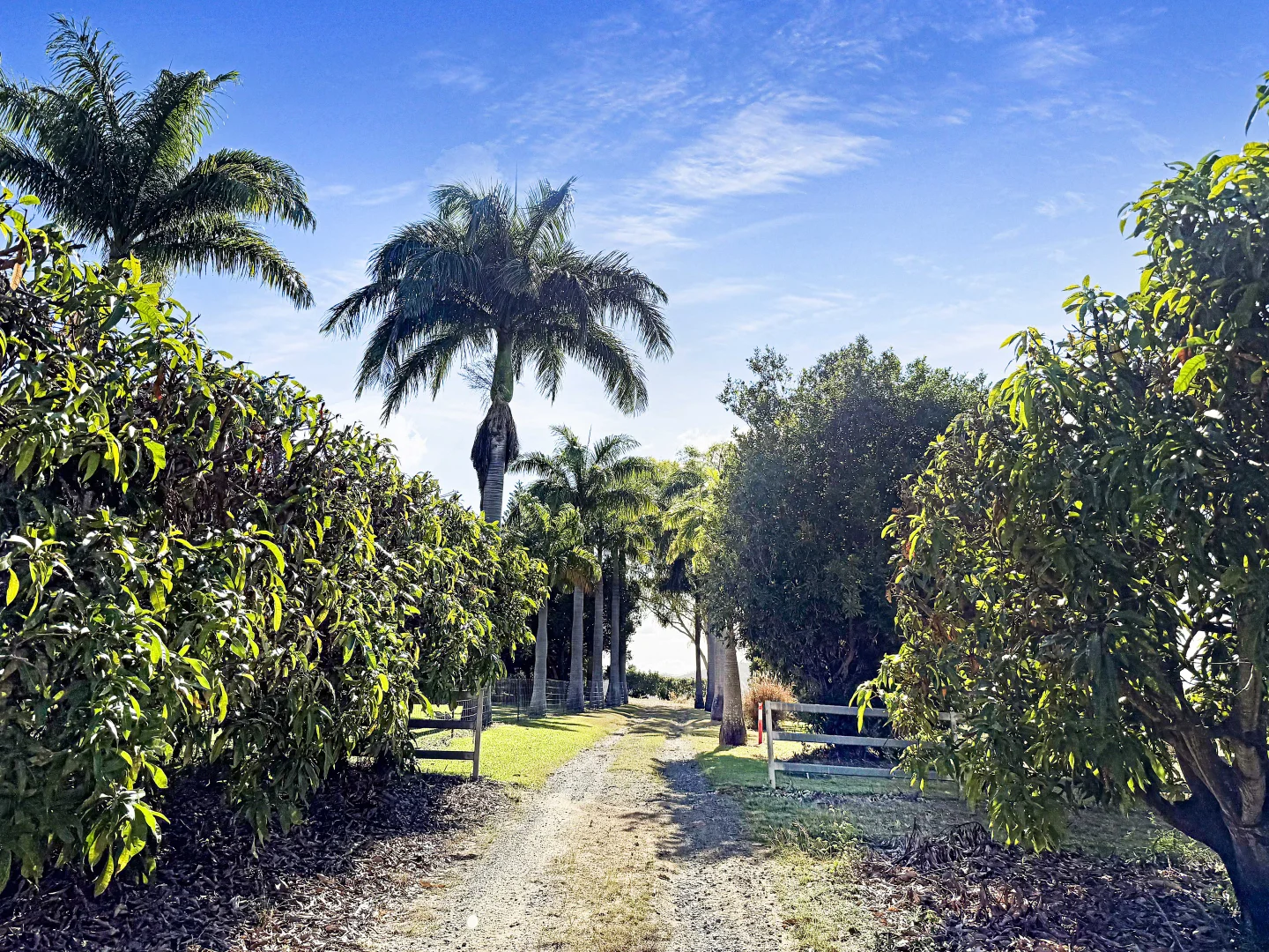 Additional image 52 of 362 Springmount Road, Mutchilba QLD 4872