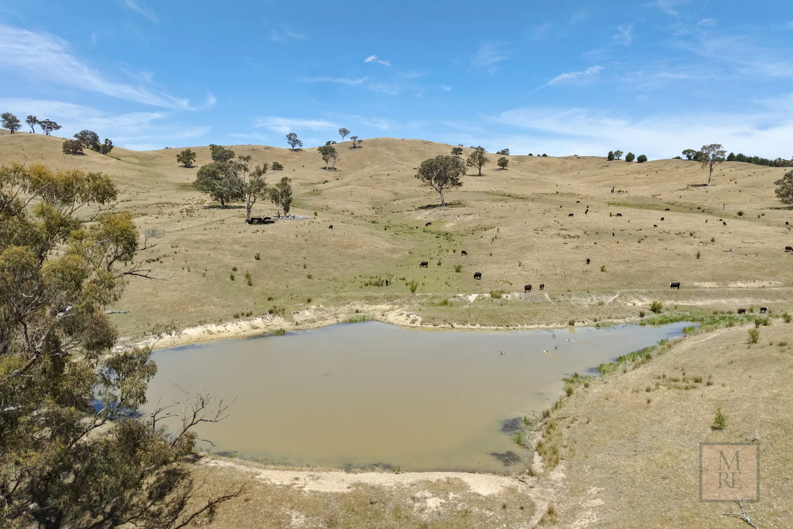 Additional image 7 of 'Dalhaven', 98 Hells Hole Creek Road, Bonnie Doon VIC 3720