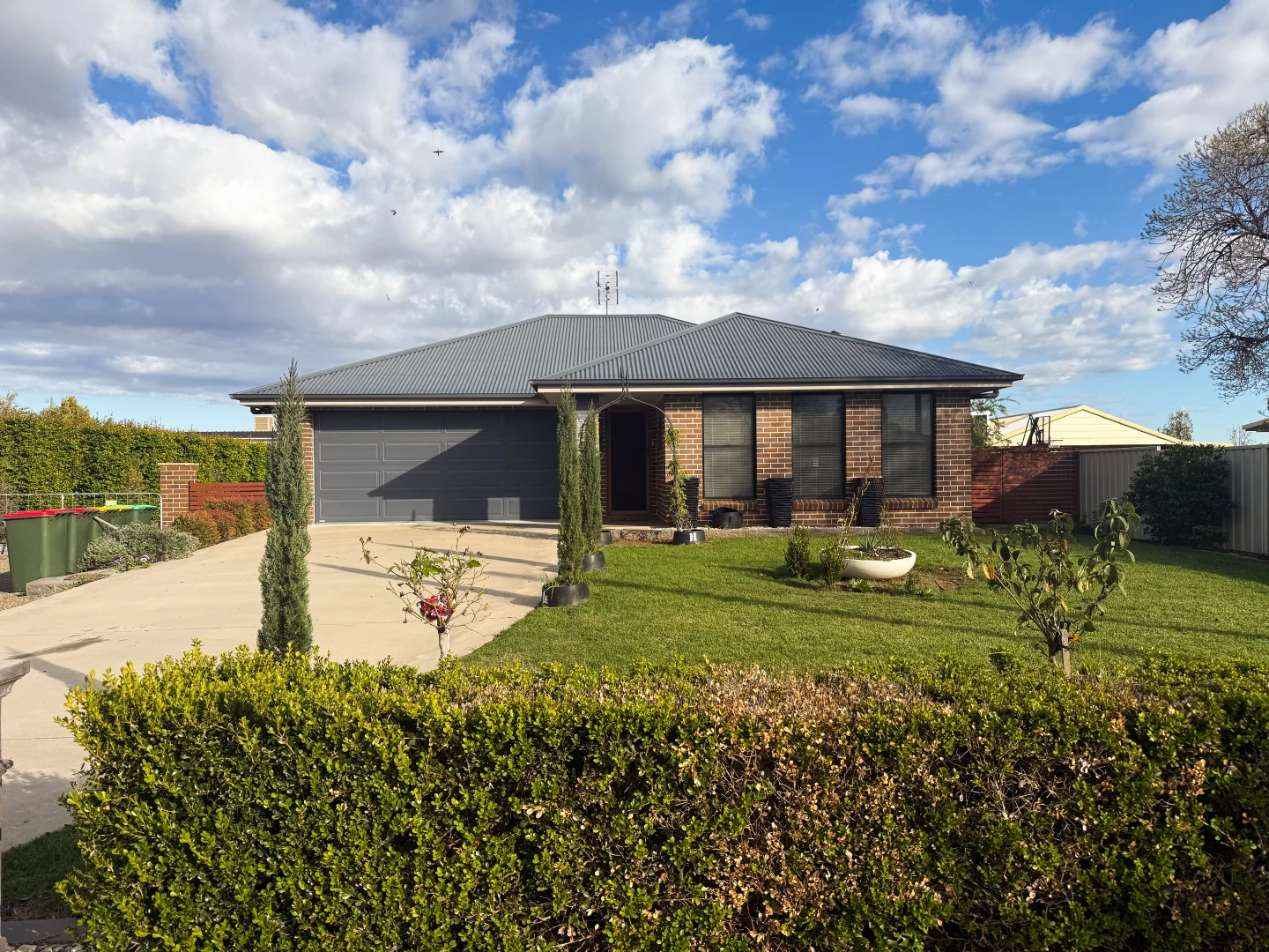 Additional image 23 of 101 Wambat Street, Forbes NSW 2871