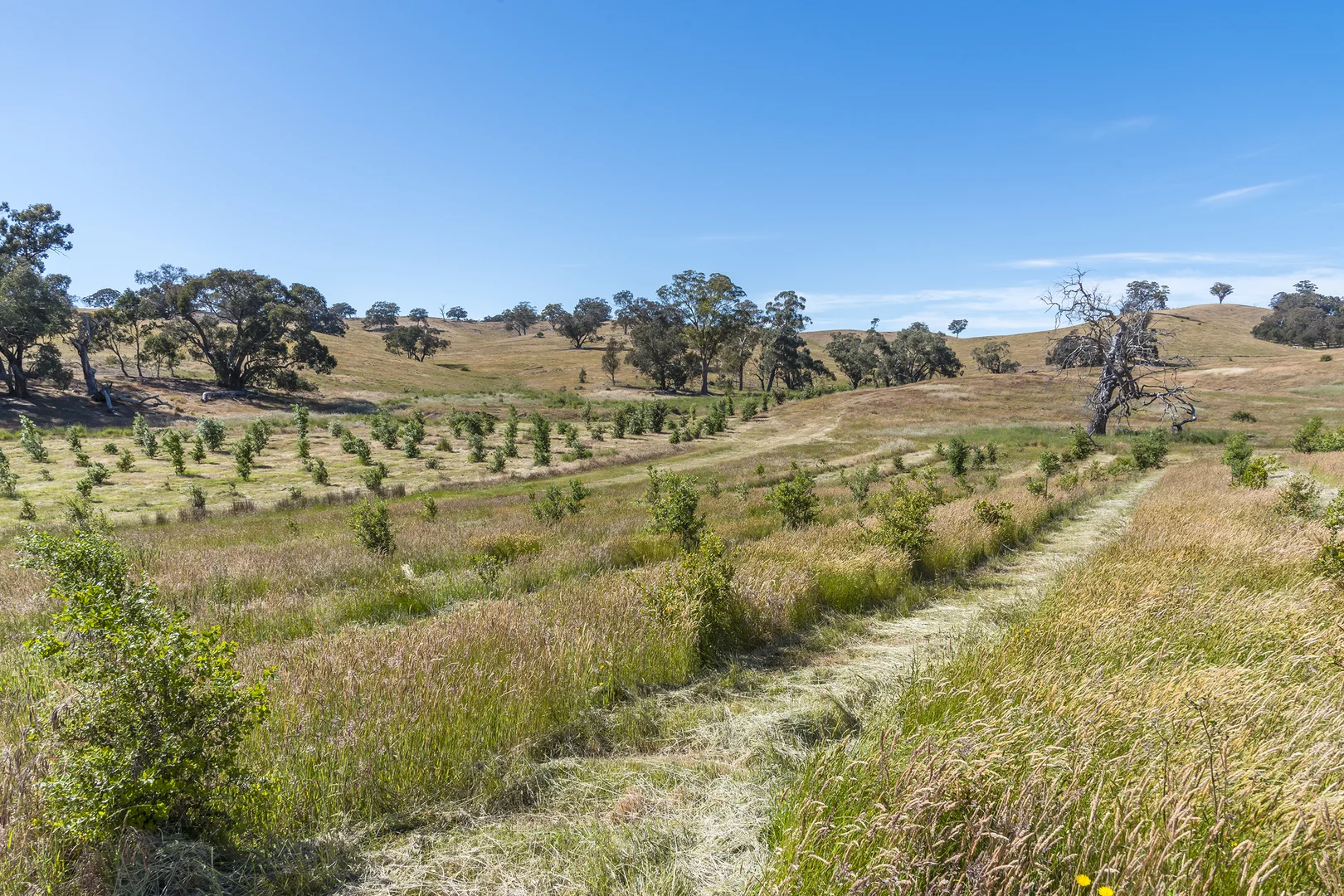 Additional image 5 of 679 Dallistons Road, Barfold VIC 3444